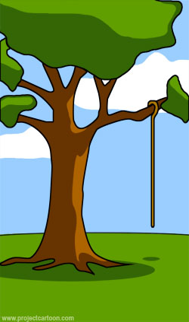 Project Image 11