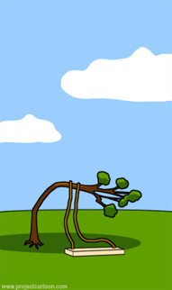Project Image 17
