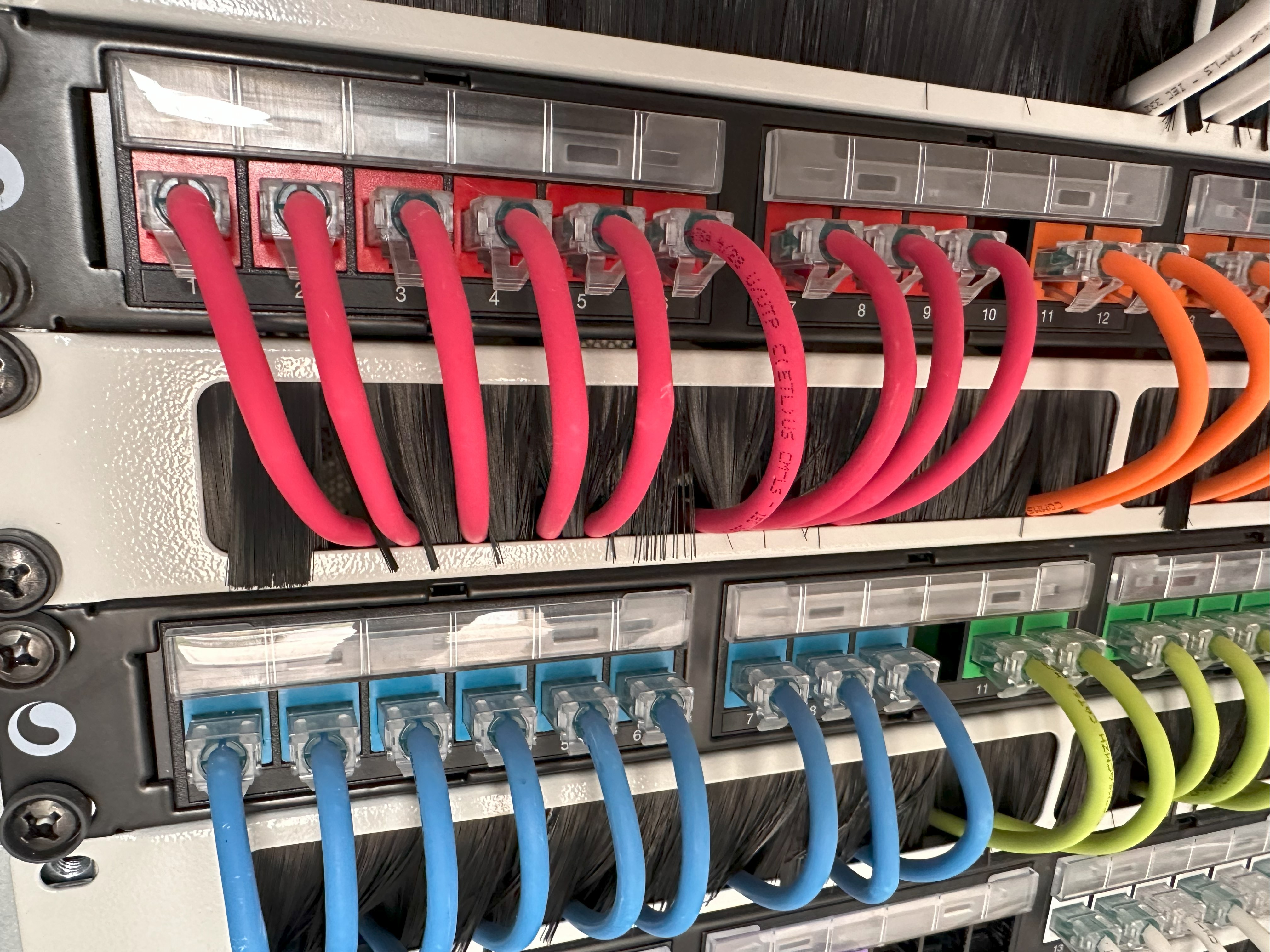 Network Patch Panel - Renkli Kablolar